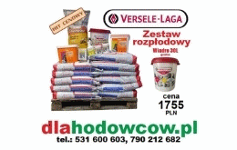 DlaHodowcow.pl - skp dla hodowców gołębi pocztowych